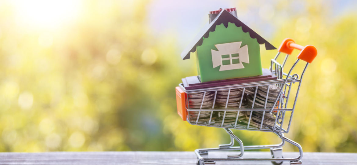 Concept,Eco,House,In,A,Shopping,Cart,On,A,Background